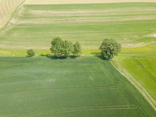 瑞士农村景观中森林的空中景观 — 图库照片
