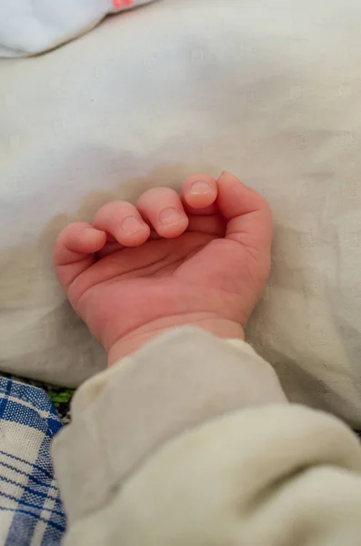Mano Pequeña Del Bebé Recién Nacido Dedos Palma Del Bebé — Foto de Stock