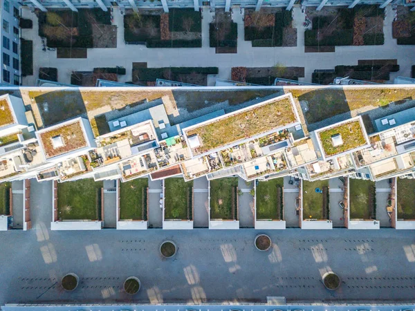 Aerial view of rooftop garden in urban residential area