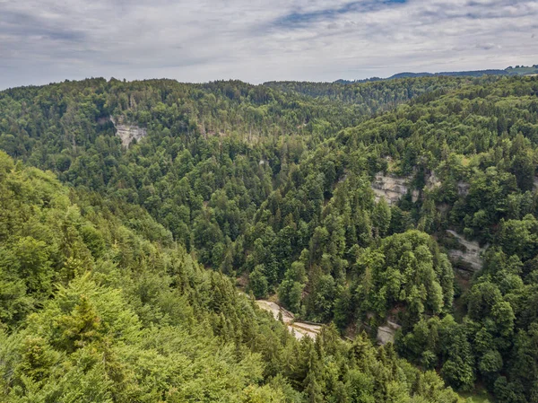 Pemandangan Udara Sungai Liar Sense Fribourg Swiss — Stok Foto