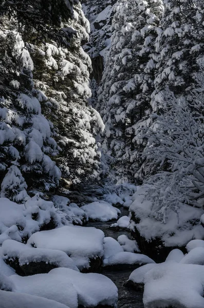 Vista Aérea Del Bosque Cubierto Nieve Del Río Thorugh Escena — Foto de Stock