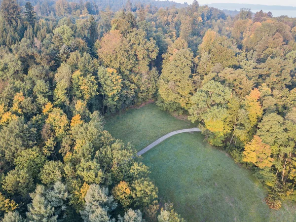 Aerial View Footpath Forest — ストック写真