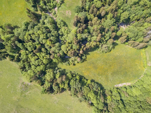 Vista Aérea Floresta Paisagem Rural Suíça — Fotografia de Stock