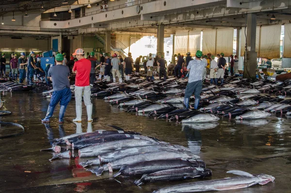 日本の魚市場のマグロの魚が地面にあるホールに横たわっている — ストック写真