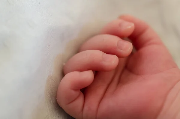 Kleine Hand Van Pasgeboren Baby Vingers Palm Voor Zuigelingen — Stockfoto