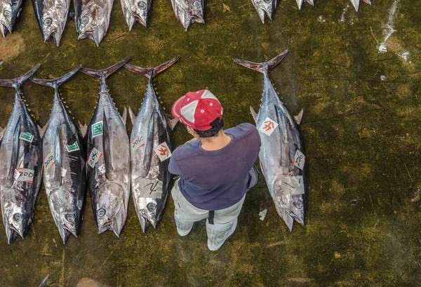 Vista Aérea Del Mercado Japonés Pescado Con Atún — Foto de Stock