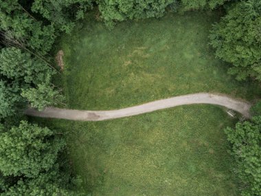 Aerial view of path trough forest in Switzerland