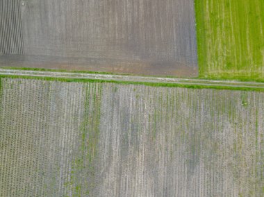 Tarım alanlarının havadan görünüşü