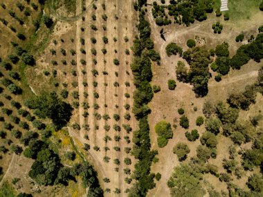 Güneşli bir akşamda İsviçre 'nin kırsal kesiminin havadan görünüşü