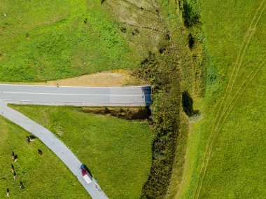 Yol ve ineklerin hava manzarası