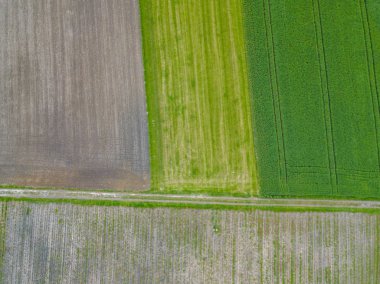 Kırpma alanlarının havadan görünümü