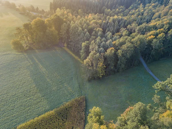 Pemandangan Udara Hutan Dan Area Terbuka Swiss Dari Atas Tenang — Stok Foto