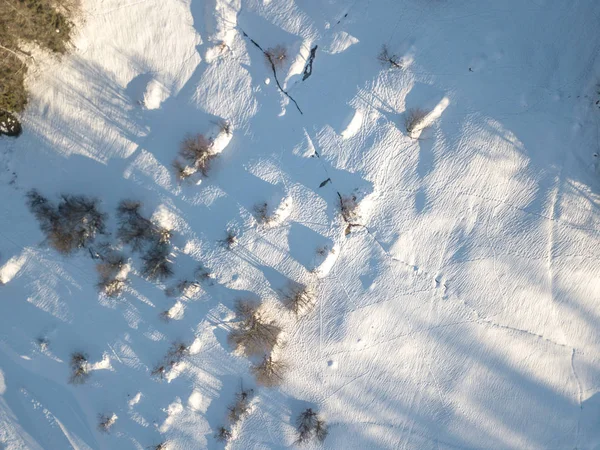 Vista Aérea Campos Cubiertos Nieve Con Arbustos Suiza —  Fotos de Stock