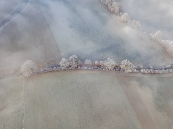 Pandangan Udara Dari Garis Semak Semak Mengingini Dengan Hoarfrost — Stok Foto