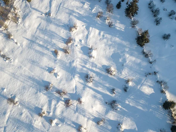 Vista Aérea Campos Cubiertos Nieve Con Arbustos Suiza —  Fotos de Stock