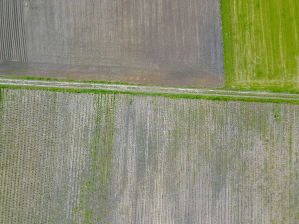 Vista Aérea Dos Campos Agrícolas — Fotografia de Stock