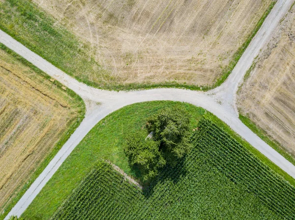 農地の空中風景 — ストック写真