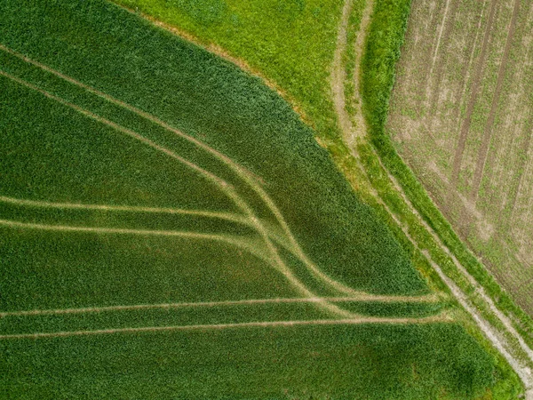 Luftaufnahme Landwirtschaftlicher Felder — Stockfoto