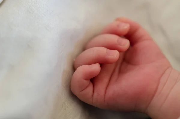 Mano Pequeña Del Bebé Recién Nacido Dedos Palma Del Bebé — Foto de Stock