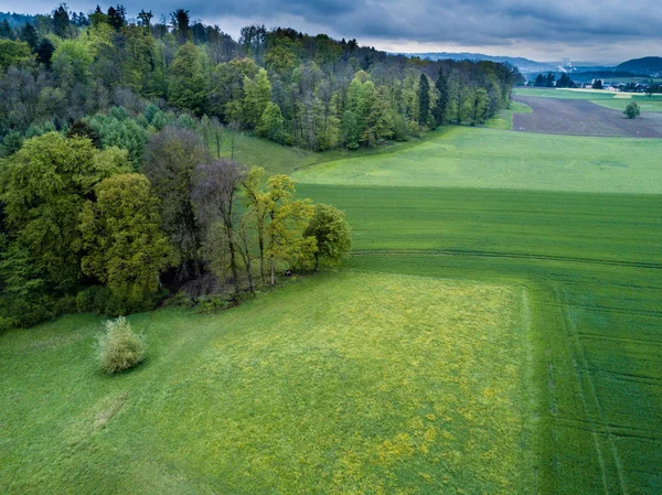 Luftutsikt Skog Åpent Landskap Sveits Ovenfra Rolig Landskap – stockfoto