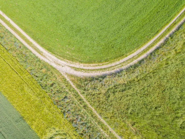 Вид Повітря Дорогу Вздовж Двох Сільськогосподарських Полів Влітку — стокове фото