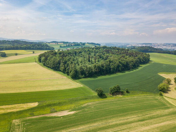 Aerial view of forest in rural landscape in Switzerland