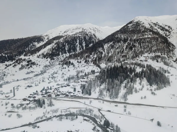 Flygfoto Granar Snötäckt Vinterlandskap — Stockfoto