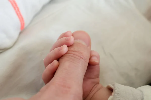 Mão Bebê Recém Nascido Segurando Dedo Adulto Masculino Conceito Ajuda — Fotografia de Stock