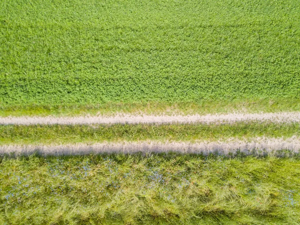 Вид Воздуха Тропу Сельской Местности Тропа Через Поля — стоковое фото