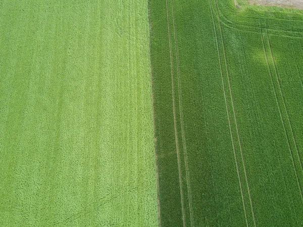 Overhead view of agricultural field in Europe.