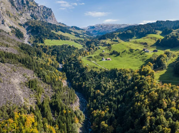 Flygfoto Över Gula Träden Höst — Stockfoto