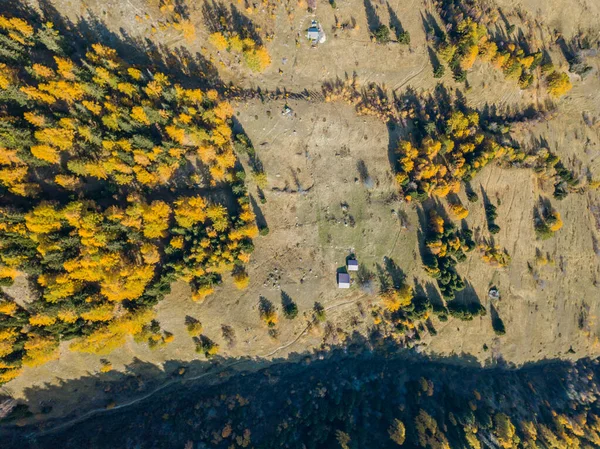 Pemandangan Udara Pohon Kuning Musim Gugur — Stok Foto