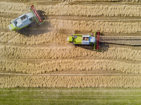 Aerial View Combines Harvester Farmland Switzerland — Stock Photo, Image