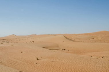 Wahiba çölünde rüzgar desenli kum tepeleri