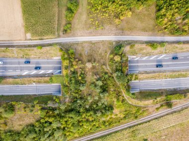 İsviçre 'de otobanın üzerindeki yaban hayatı üst geçidinin havadan görünüşü