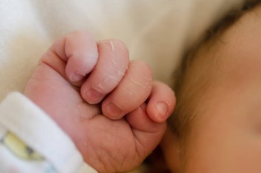 Yeni doğmuş bir bebeğin küçük eli. Bebek parmakları ve avuç içi