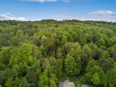 Yukarıdan, İsviçre 'deki ormanın ve açık alanın havadan görüntüsü. Sakin kırsal.