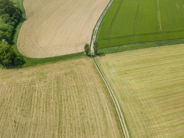 Tarım alanlarının havadan görünüşü