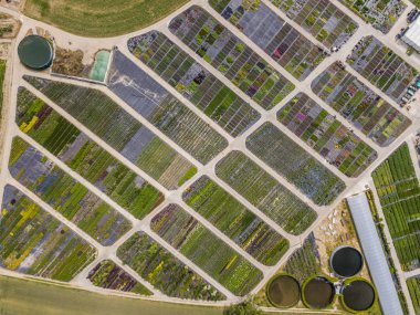 Bitki yetiştirme alanında yetişmiş genç bitkilerin hava manzarası 