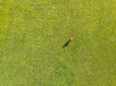  Yeşil çayırdaki at manzarası.