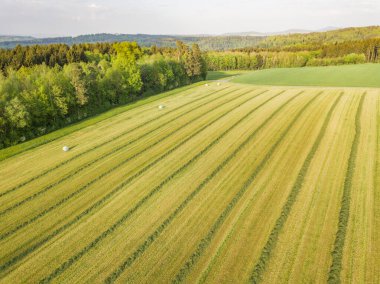 Aerial view of hay field in evening sunlight in Switzerland