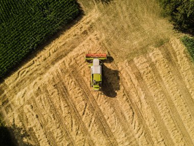 Bir tarladaki hasat makinesinin hava görüntüsü