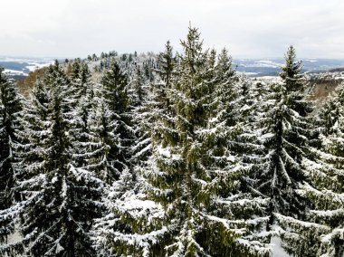 Kardaki köknar ağaçlarının hava manzarası kışı kaplamıştı.