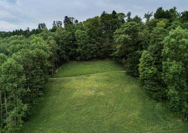 Aerial view of path trough forest in Switzerland