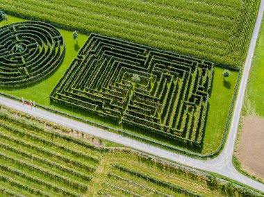 Yeşil çalılıklar dairesel labirentler, çit labirentleri
