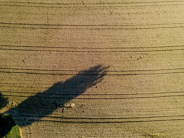 Luftaufnahme Des Landwirtschaftlichen Feldes — Stockfoto