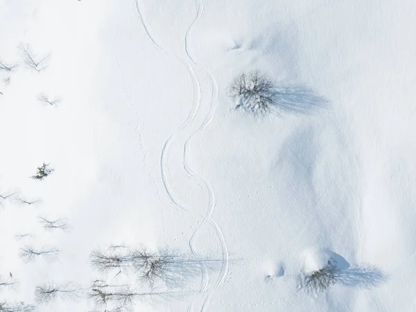 Vista Aérea Árvores Sem Folhas Inverno Sombra Chão Plano Coberto — Fotografia de Stock