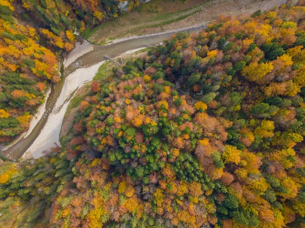 Вид Воздуха Отдаленную Дикую Реку Сенс Швейцарии Красивые Осенние Цвета — стоковое фото