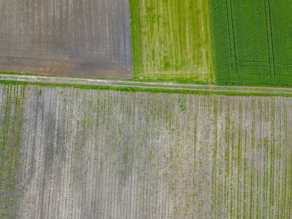 Widok Lotu Ptaka Pola Rolne — Zdjęcie stockowe