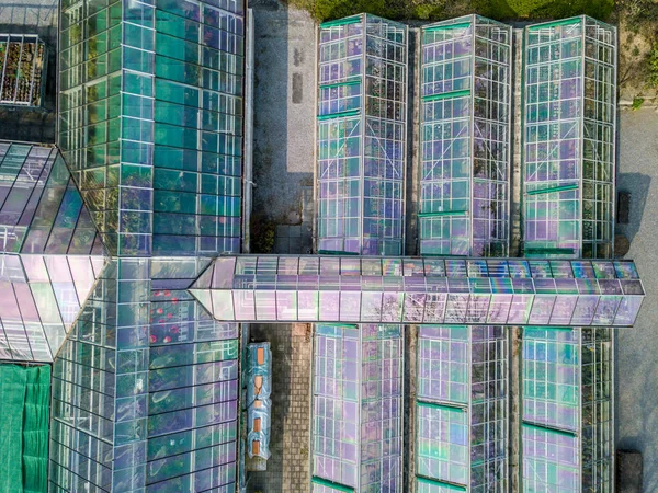 Aerial View Greenhouse Reflection Glass — 스톡 사진